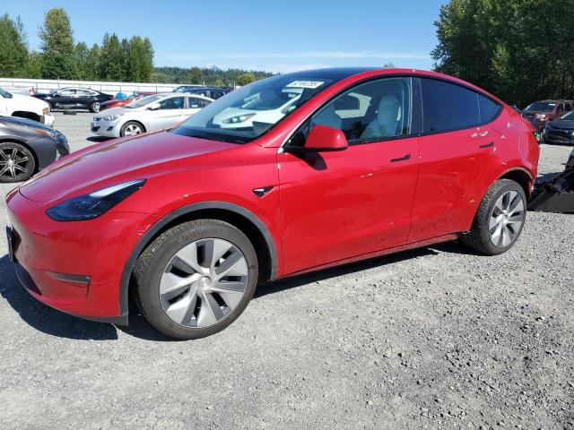  TESLA MODEL Y 2023 Czerwony