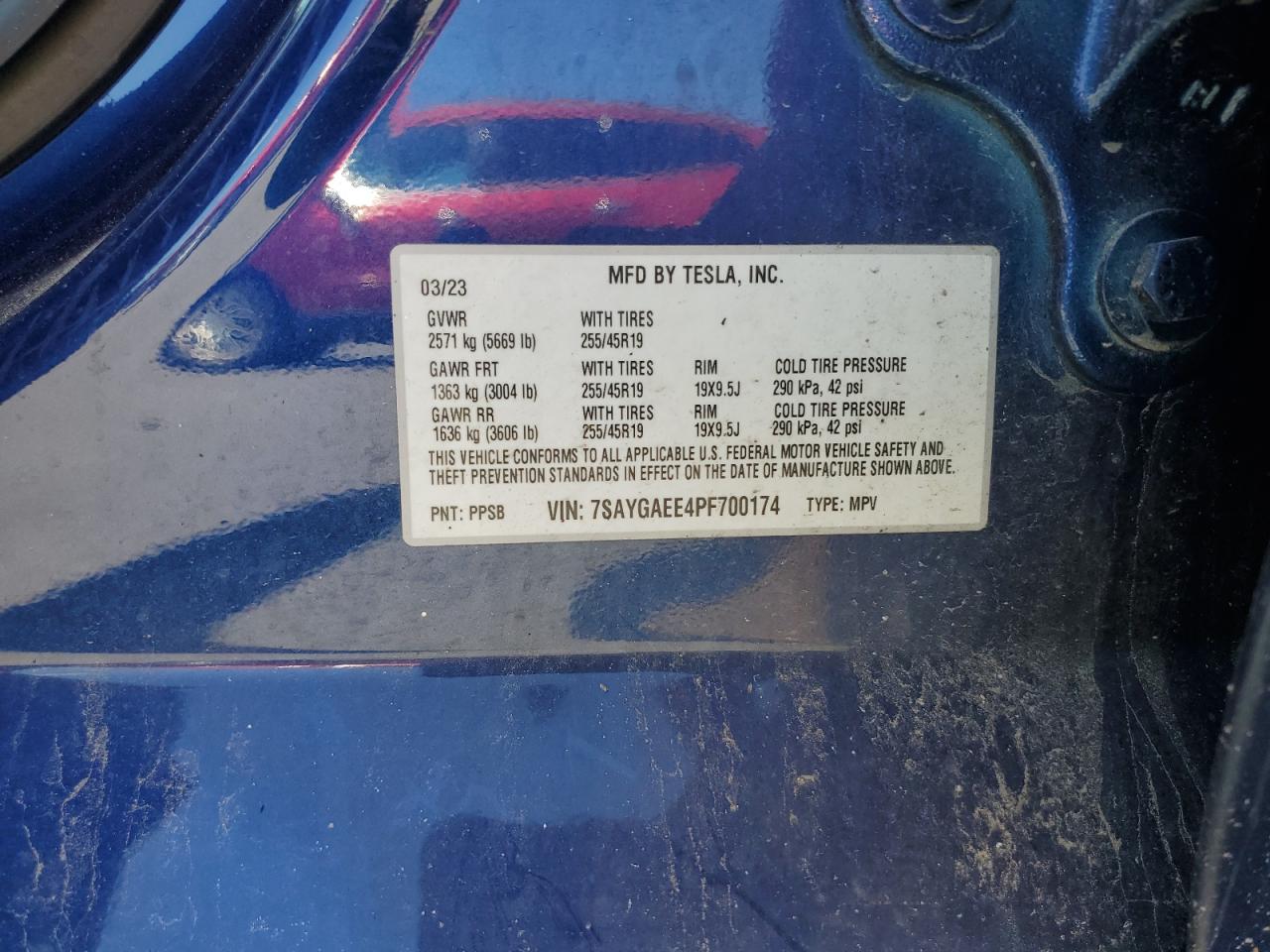 2023 Tesla Model Y VIN: 7SAYGAEE4PF700174 Lot: 65829205