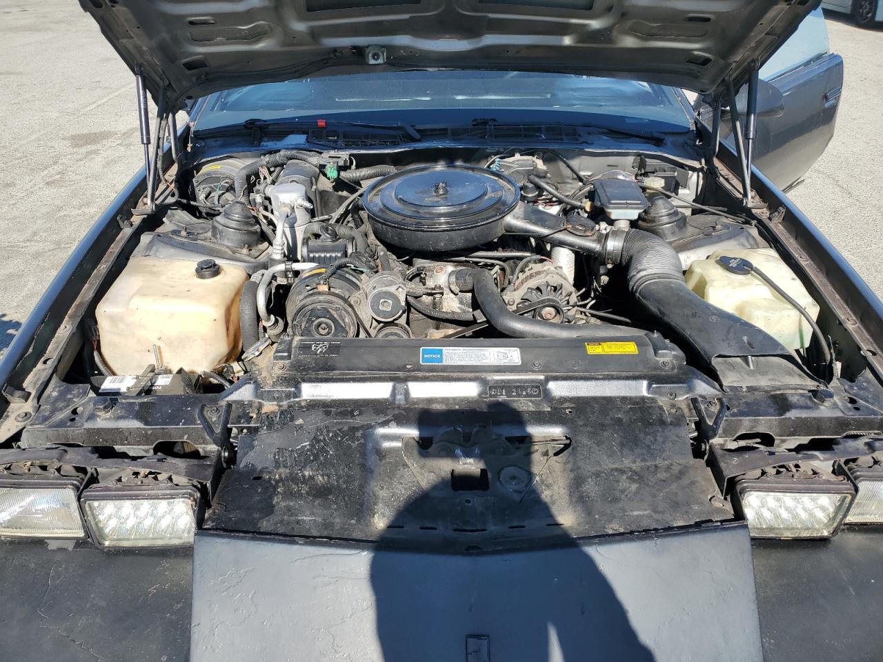 1991 Chevrolet Camaro Rs VIN: 1G1FP23E0ML151541 Lot: 63913055