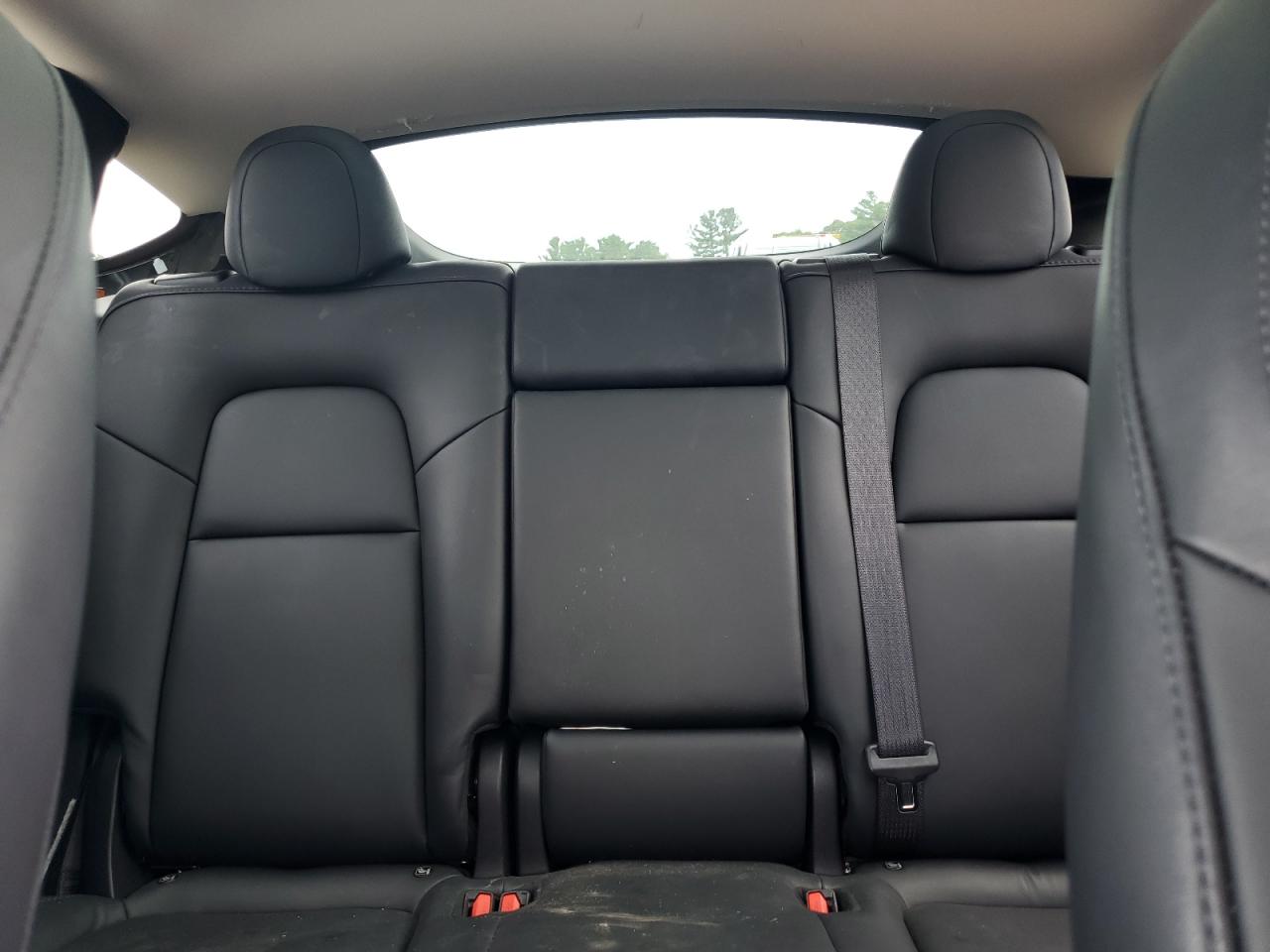 2023 Tesla Model Y VIN: 7SAYGDEE0PA196060 Lot: 65012865