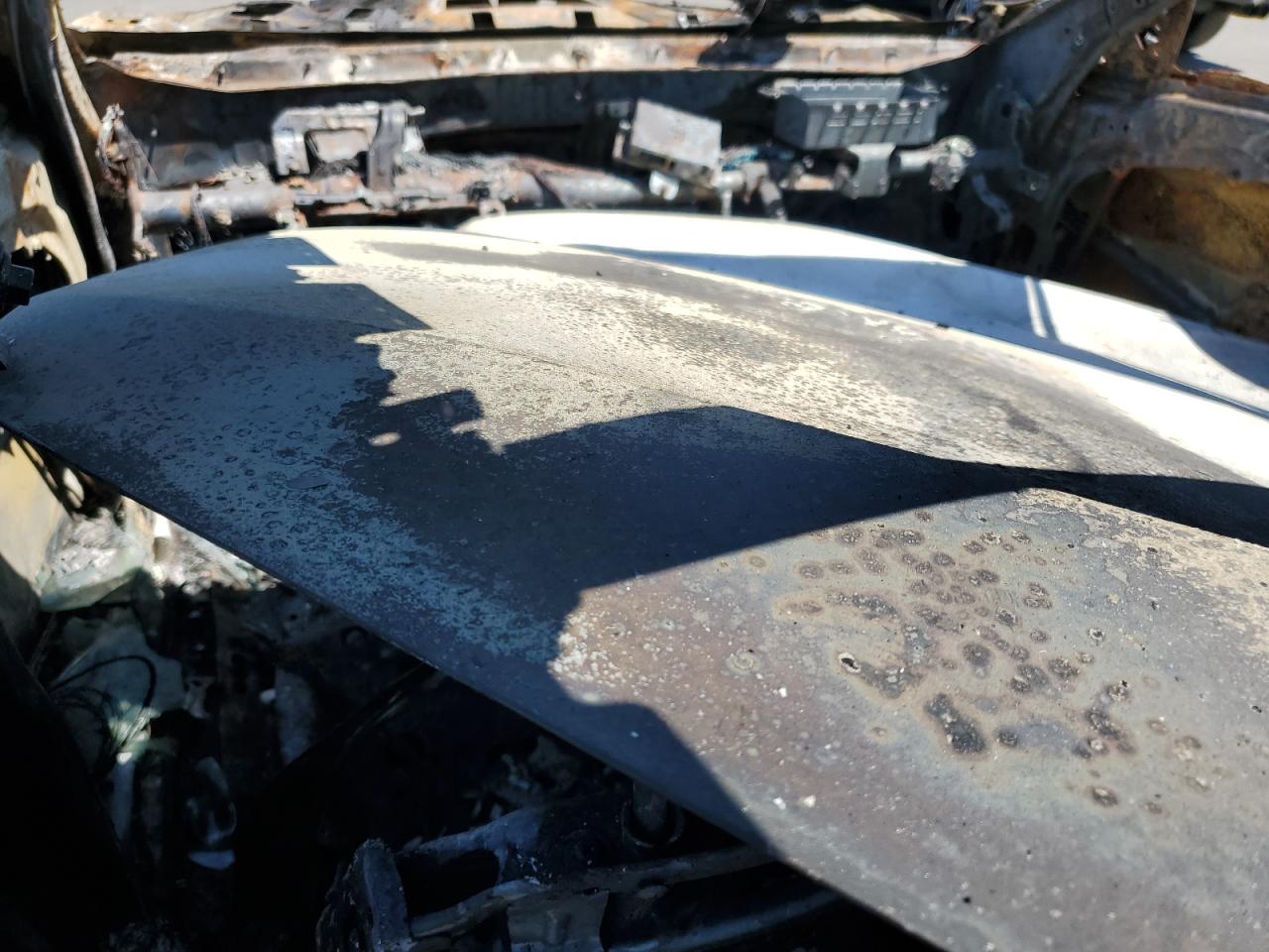 2015 Kia K900 VIN: KNALU4D44F6027663 Lot: 65540325