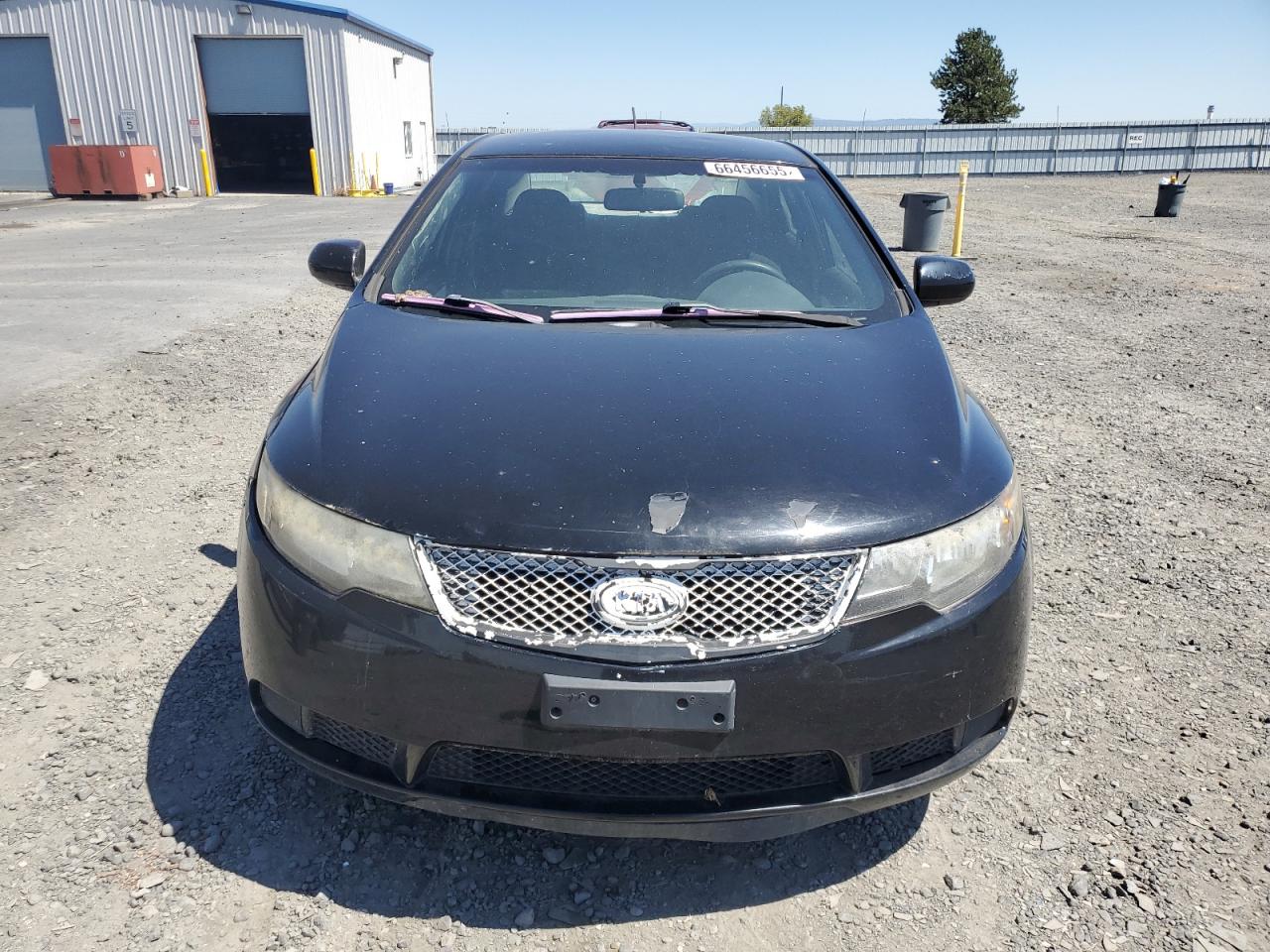 2010 Kia Forte Lx VIN: KNAFT4A21A5807959 Lot: 66456655