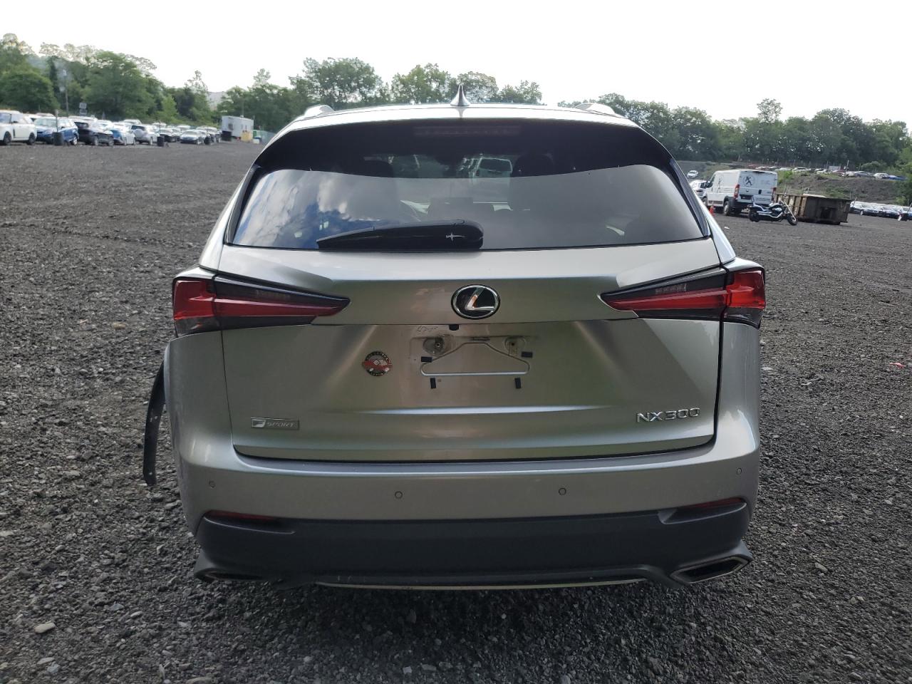 2021 Lexus Nx 300 Base VIN: JTJSARDZ1M2246159 Lot: 62236145