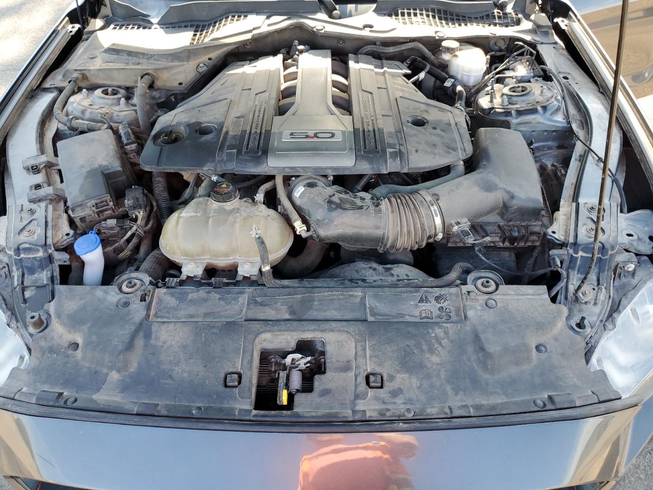 2019 Ford Mustang Gt VIN: 1FA6P8CF4K5186335 Lot: 65821295