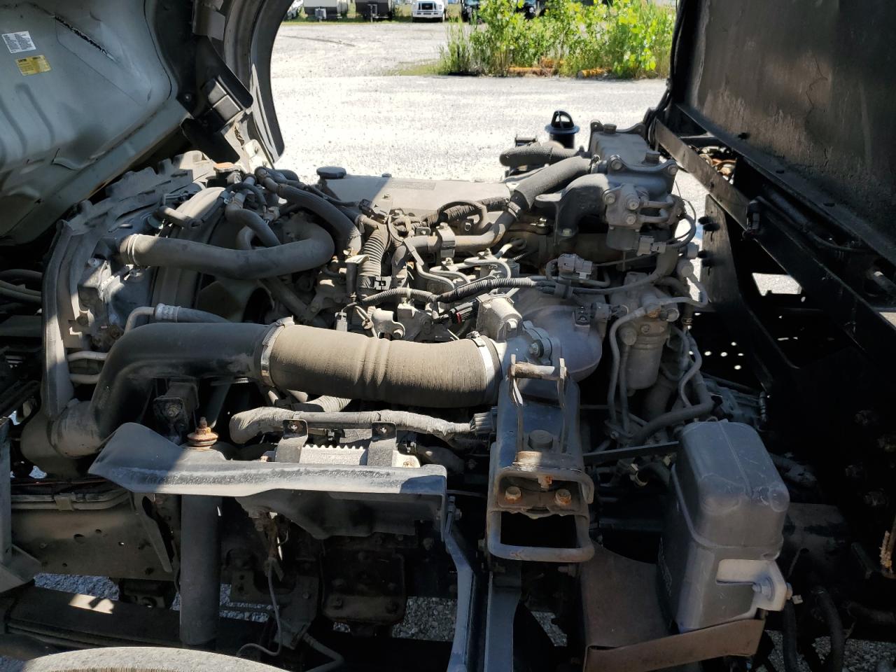 2019 Isuzu Nrr VIN: JALE5W164K7300257 Lot: 62969445