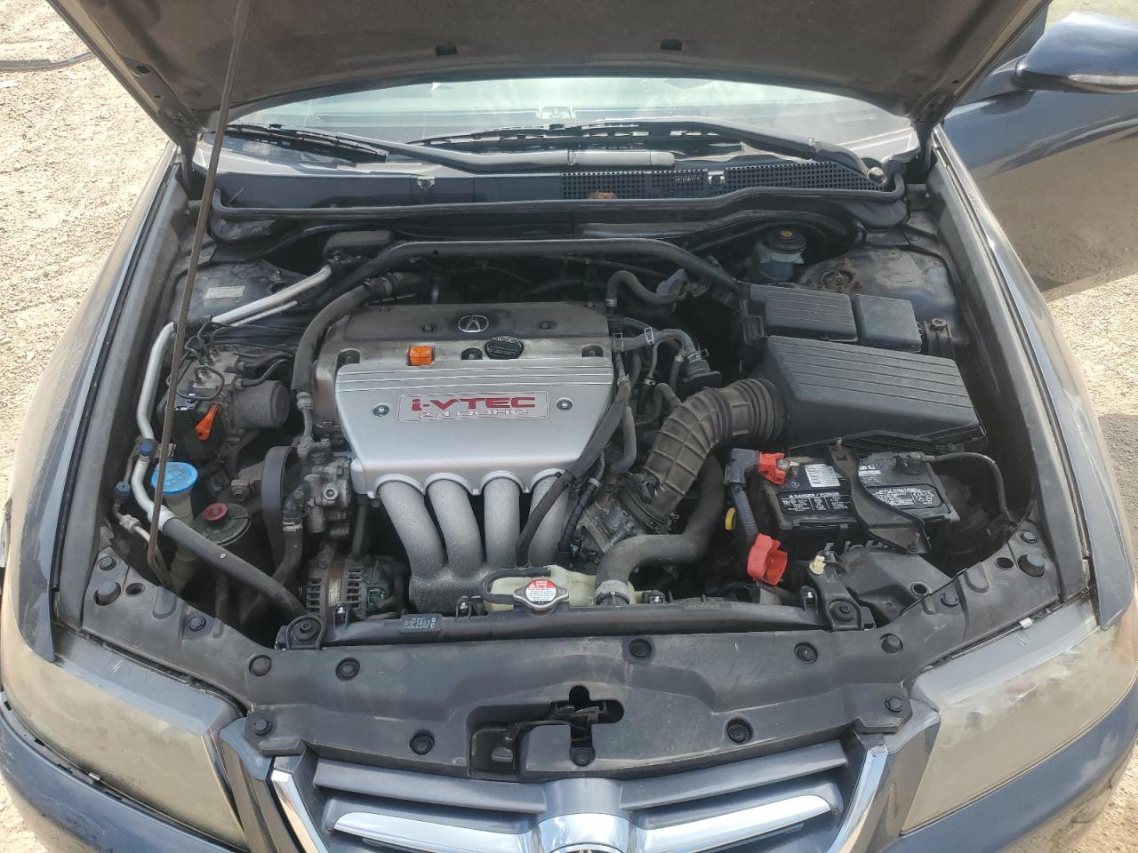 2004 Acura Tsx VIN: JH4CL96844C007638 Lot: 65553365