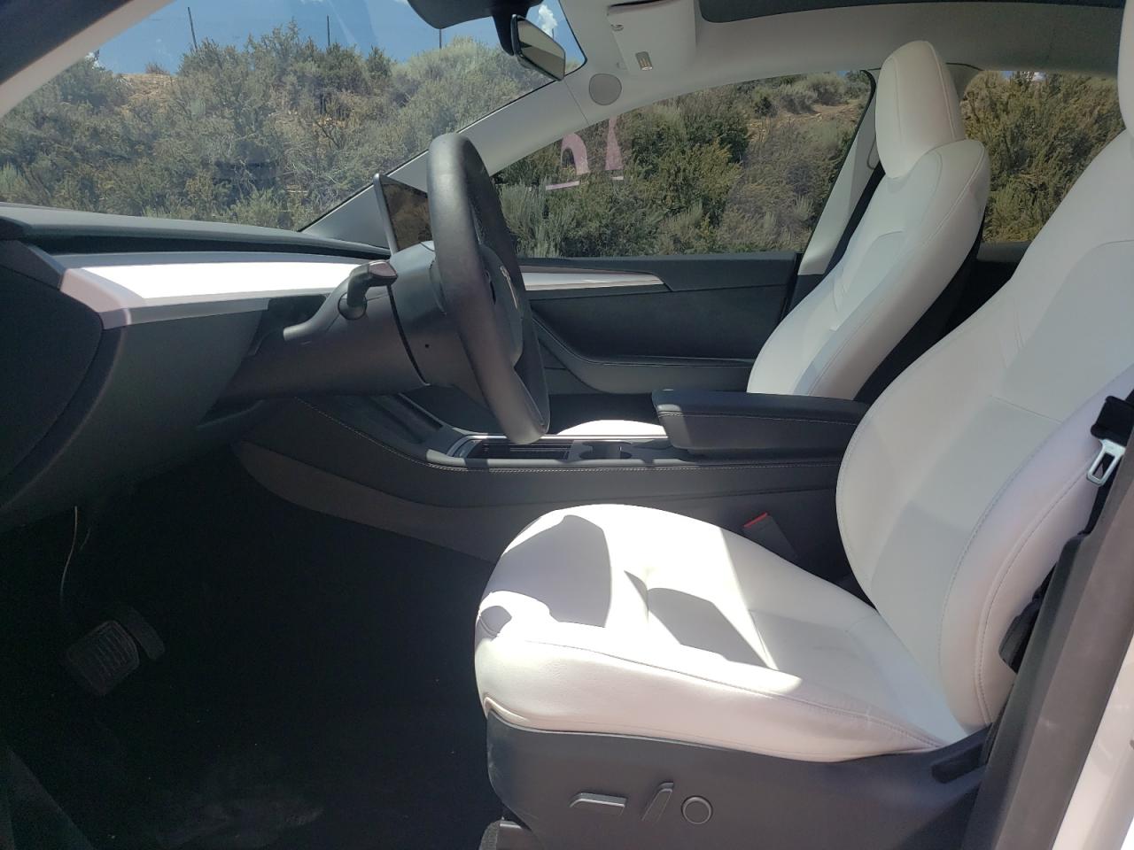 2023 Tesla Model Y VIN: 7SAYGDEE6PA117443 Lot: 62887265