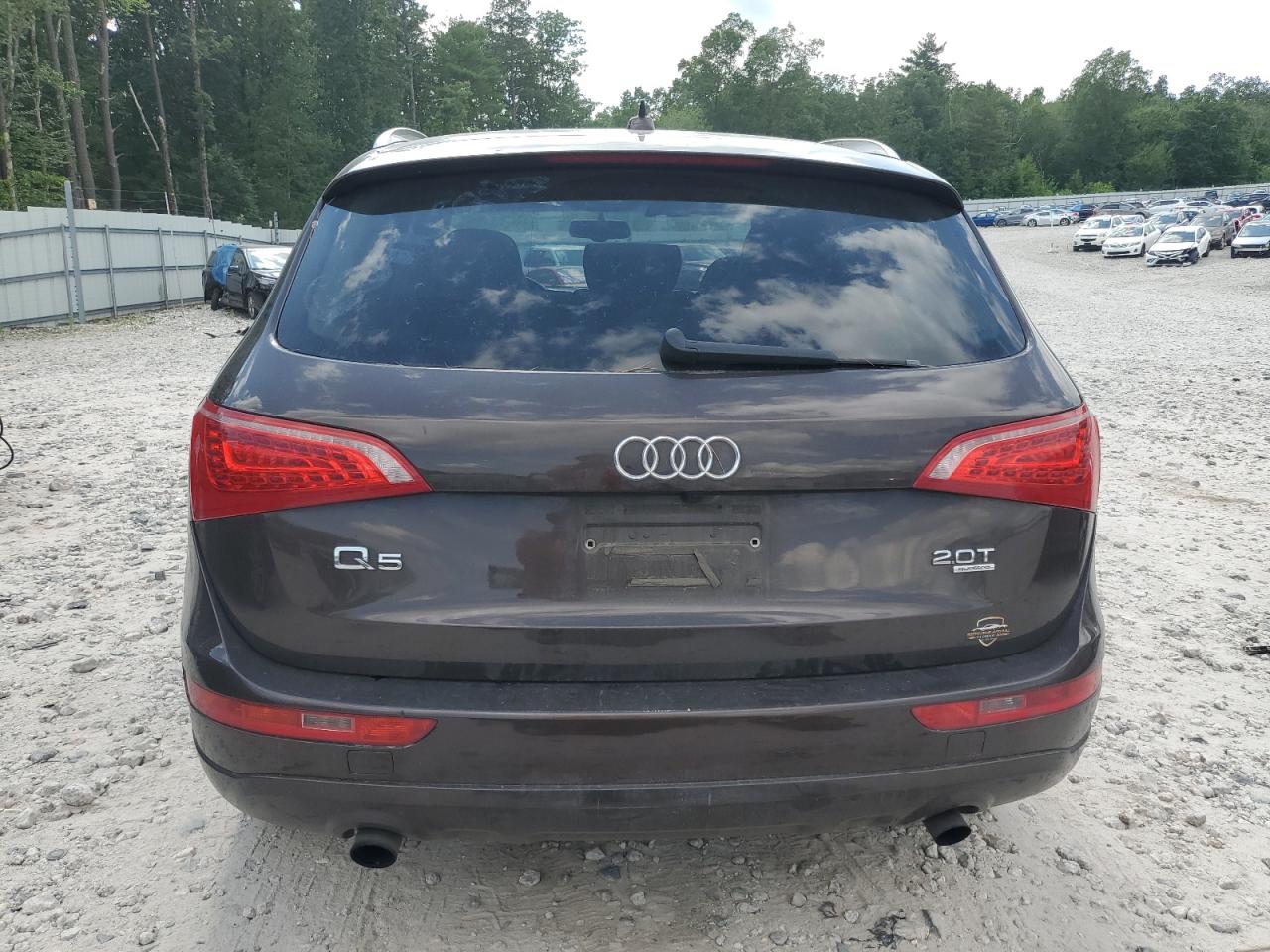 2011 Audi Q5 Premium Plus VIN: WA1LFAFP6BA035641 Lot: 62058755