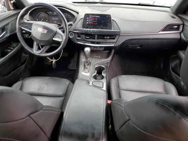Photo 8