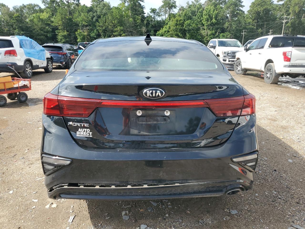 2019 Kia Forte Fe VIN: 3KPF24AD6KE050070 Lot: 64284365