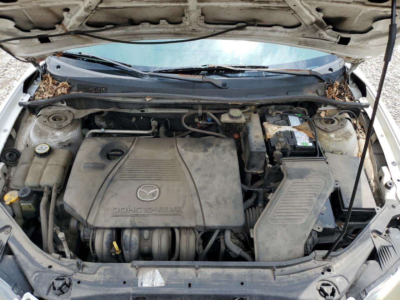 2004 Mazda 3 I VIN: JM1BK12F541156416 Lot: 62836455