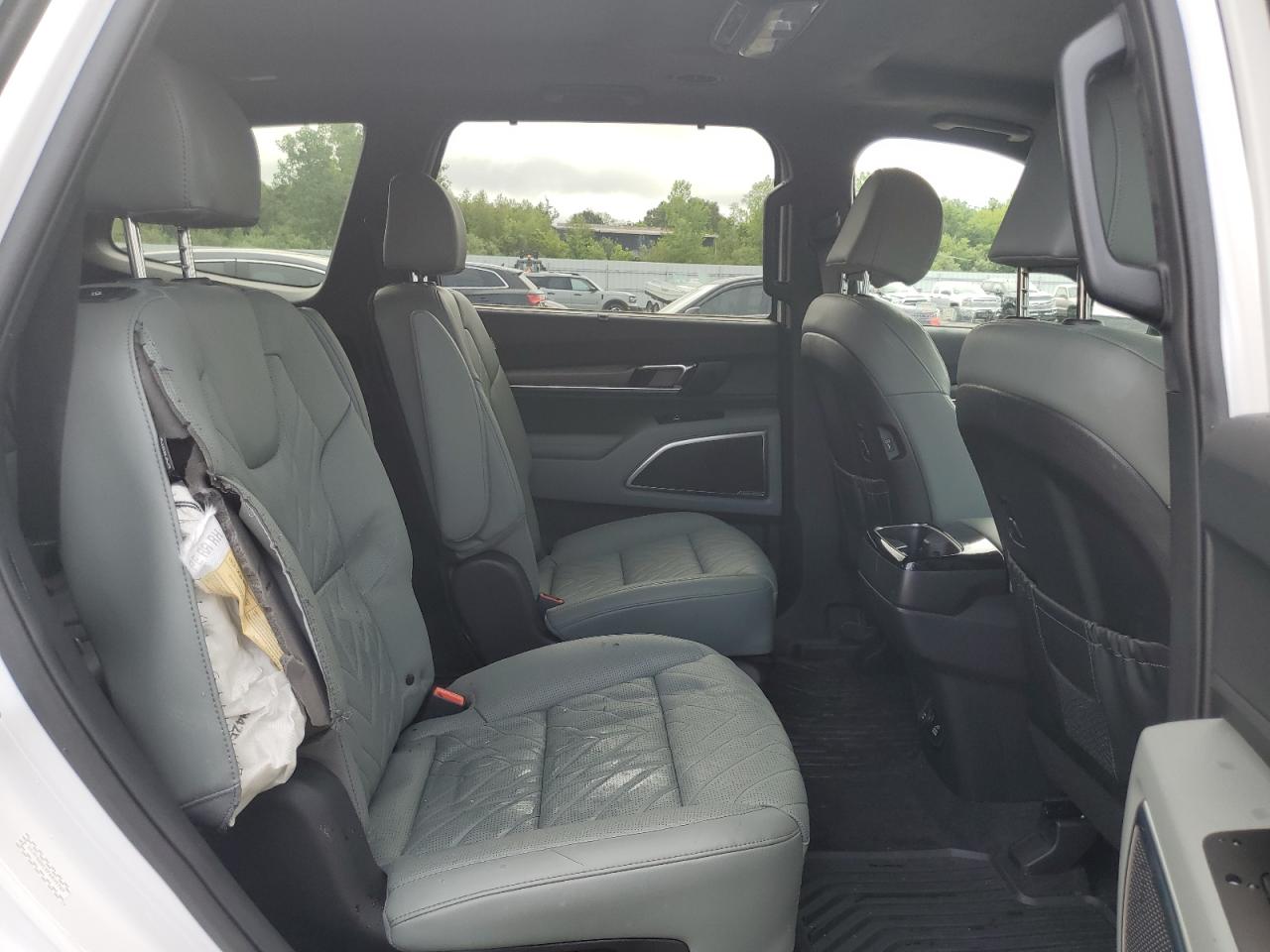 2023 Kia Telluride Sx VIN: 5XYP5DGC4PG409789 Lot: 63911175