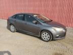 2013 FORD FOCUS SE   for sale at Copart ON - LONDON