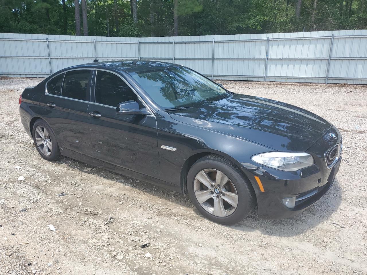 2013 BMW 528 Xi VIN: WBAXH5C55DDW16395 Lot: 65397985