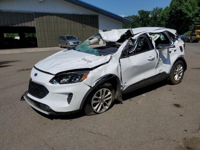  FORD ESCAPE 2020 Белы