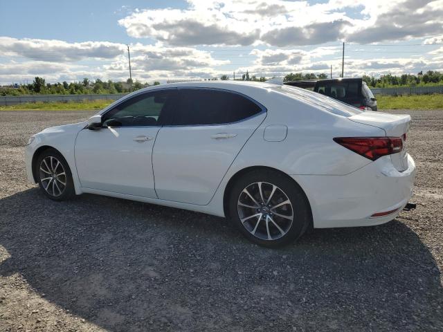  ACURA TLX 2016 Biały