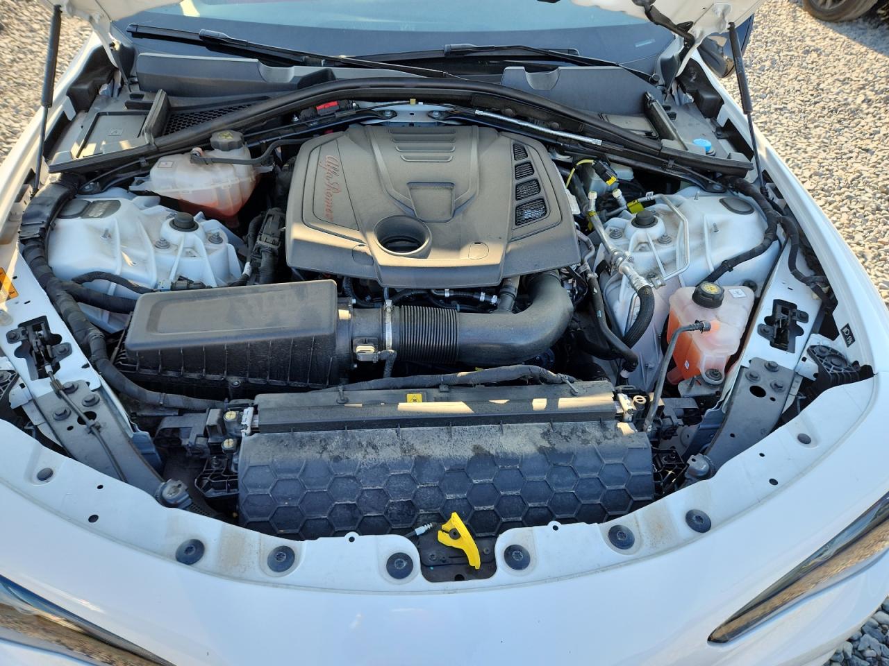 2020 Alfa Romeo Giulia VIN: ZARFAMAN9L7637608 Lot: 66471355