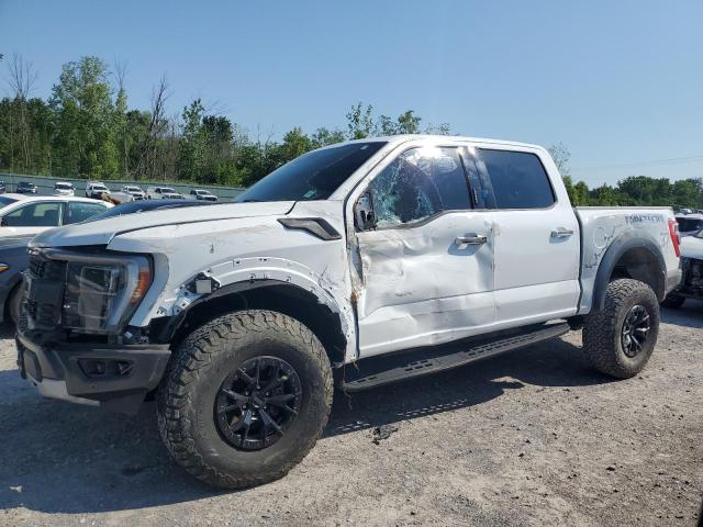 FORD F150 RAPTO 2023