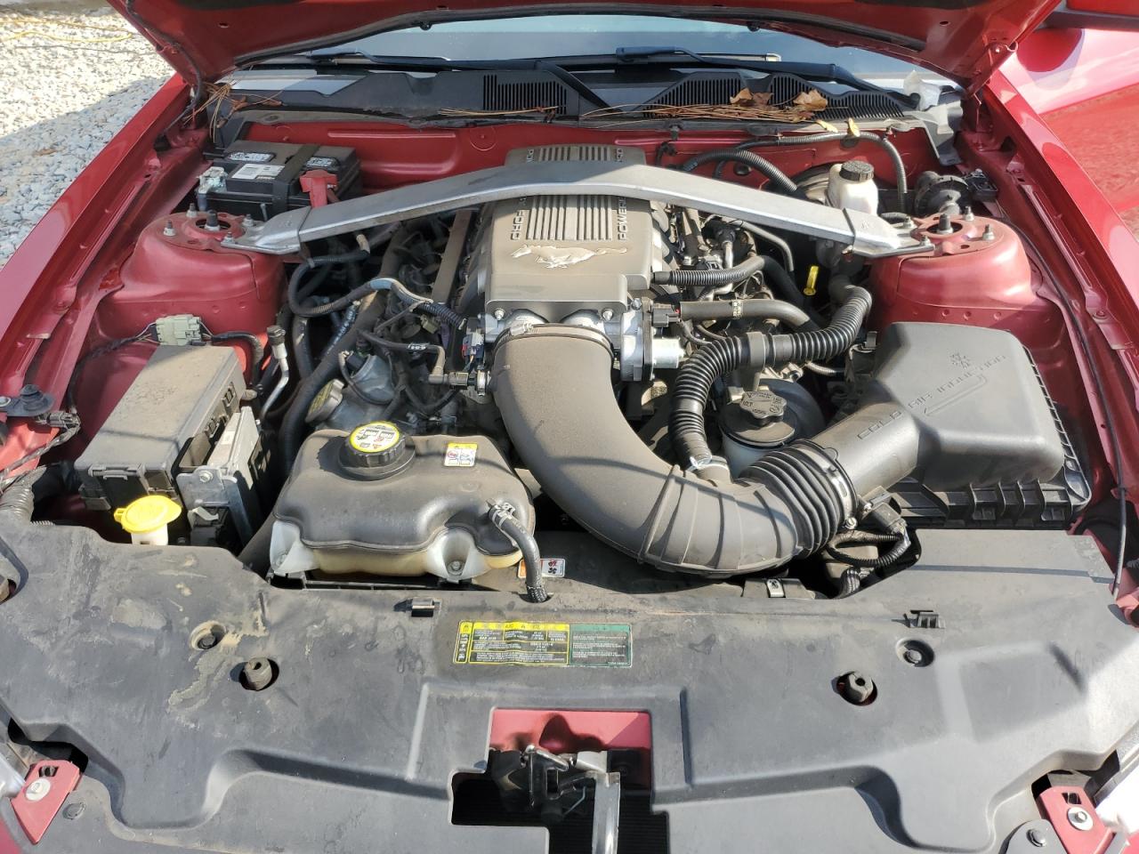 2010 Ford Mustang Gt VIN: 1ZVBP8CH5A5125419 Lot: 63984475