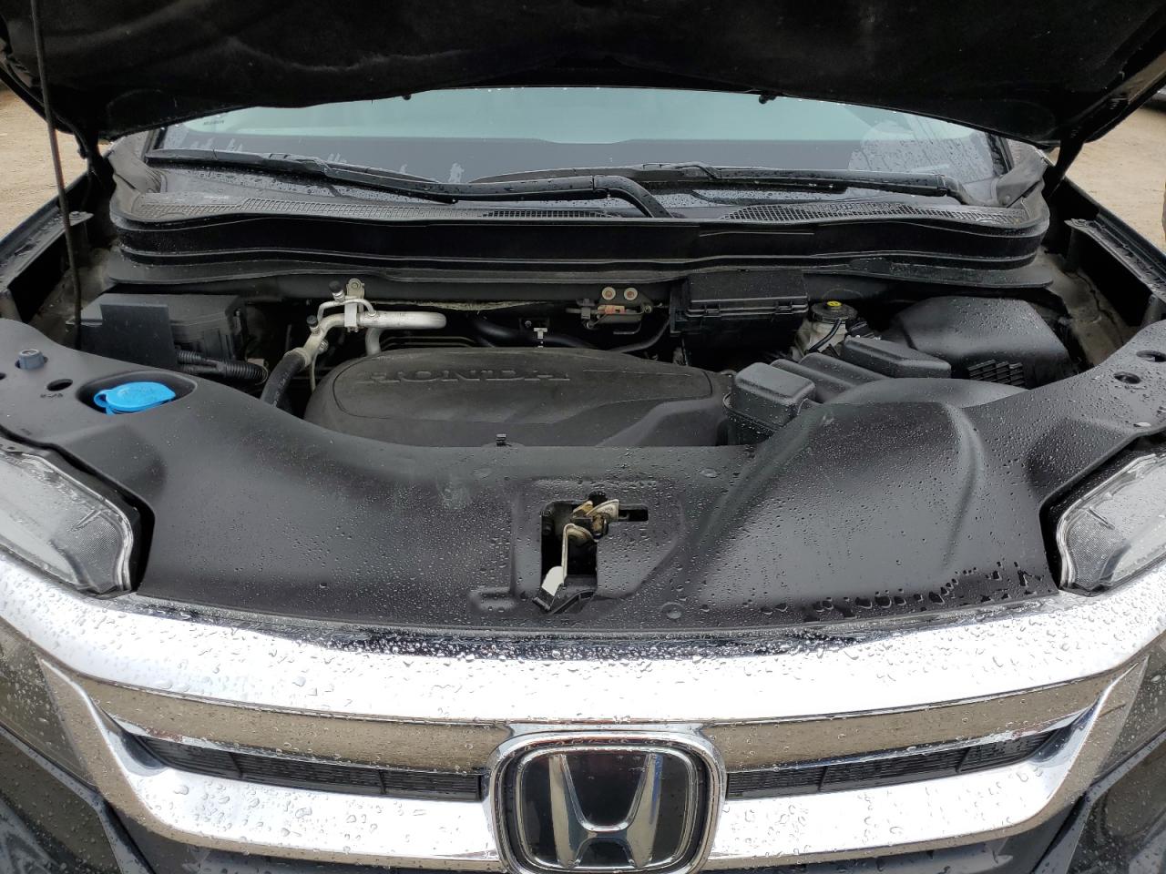 2020 Honda Pilot Black VIN: 5FNYF6H77LB500894 Lot: 63763245
