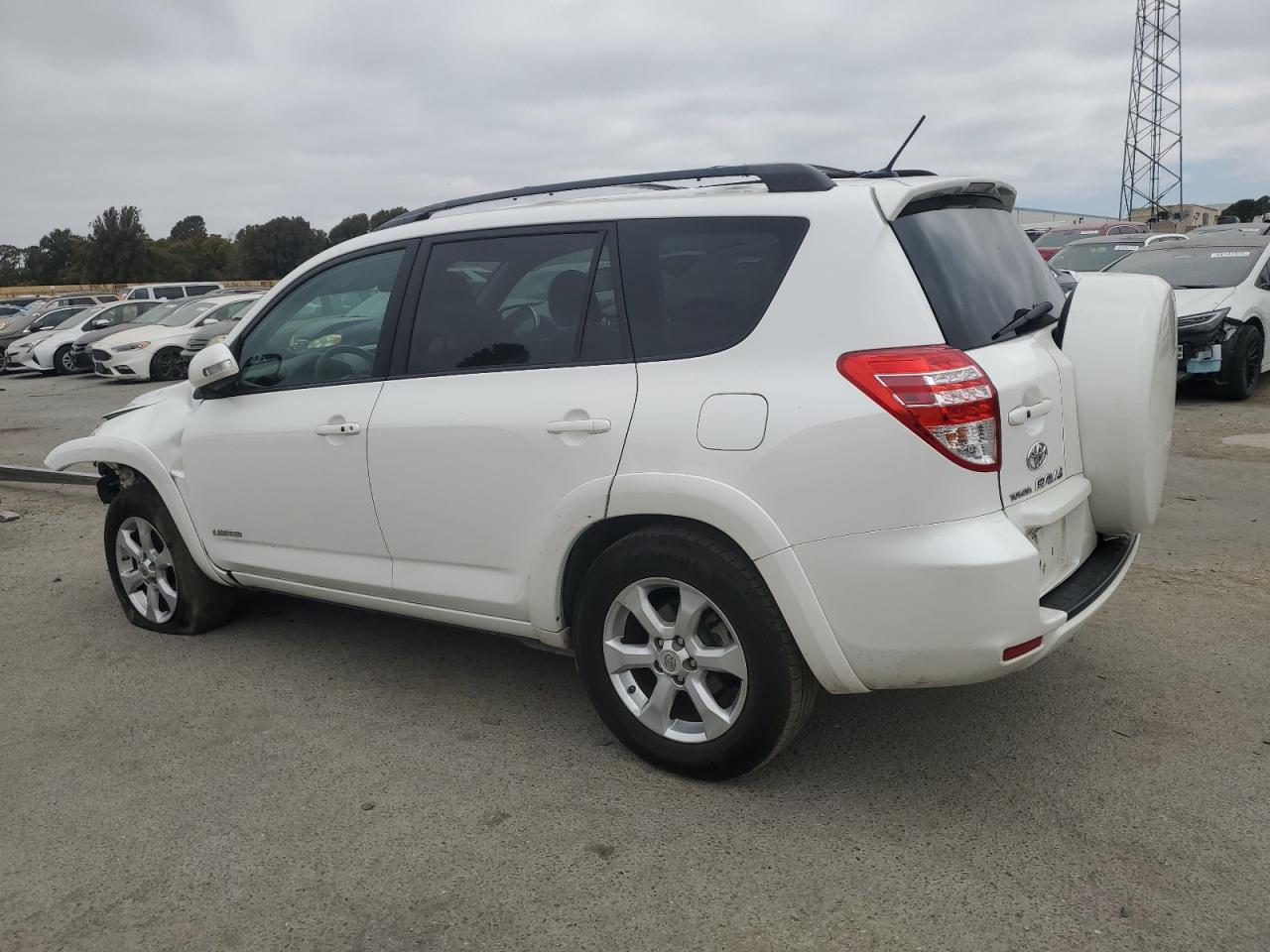 2009 Toyota Rav4 Limited VIN: 2T3BK31V49W004608 Lot: 65379215