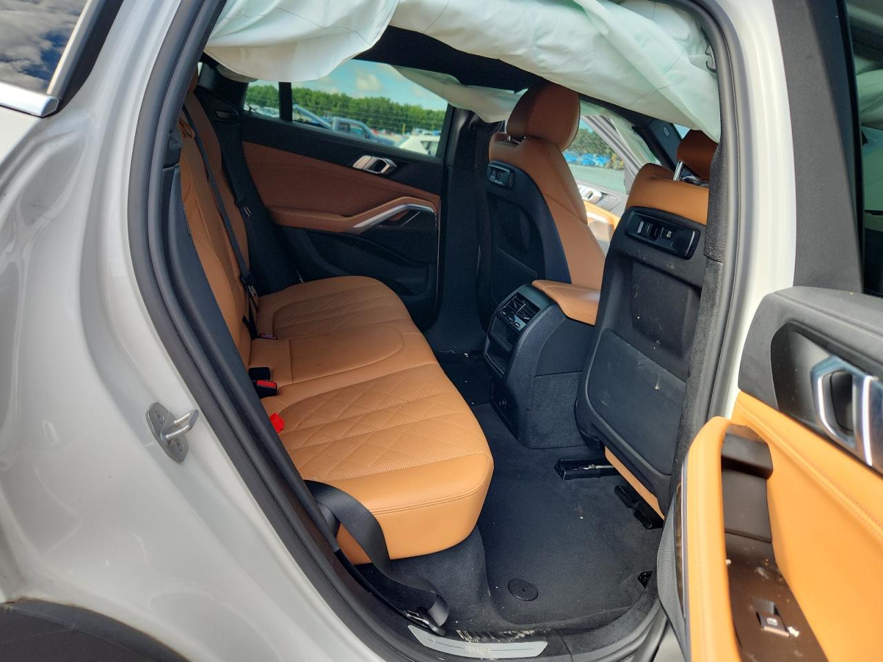 2023 BMW X6 xDrive40I VIN: 5UXCY6C06P9N58248 Lot: 64719515