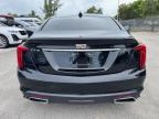 2020 CADILLAC CT5 PREMIUM LUXURY   for sale at Copart FL - MIAMI NORTH