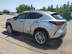 2024 LEXUS NX 350H BASE   for sale at Copart ON - TORONTO