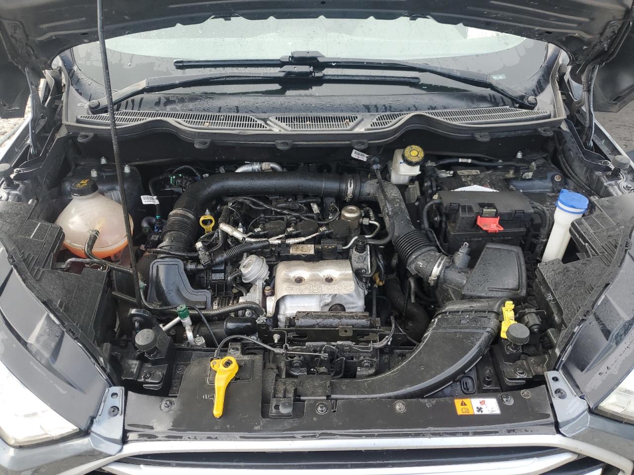 2019 Ford Ecosport Se VIN: MAJ3S2GE9KC262689 Lot: 66031495