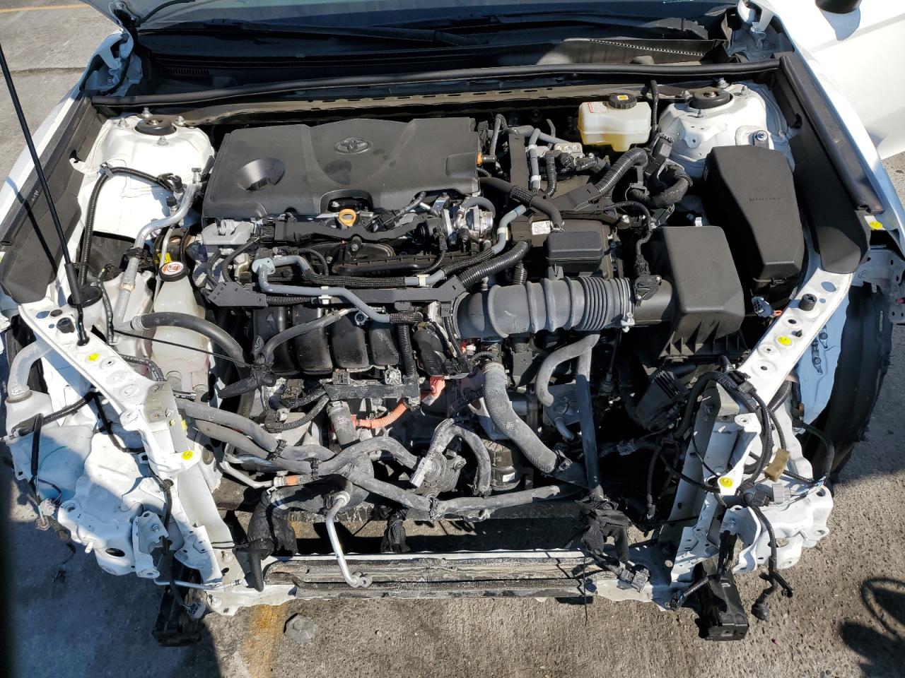 2021 Toyota Camry Se VIN: 4T1G31AK2MU546434 Lot: 64626025