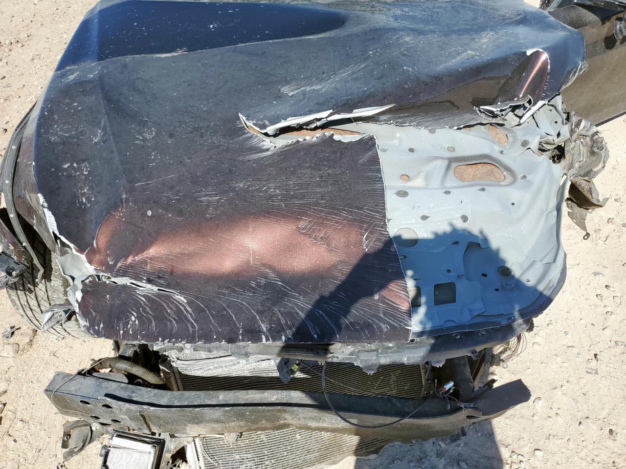 2019 Infiniti Q50 Luxe VIN: JN1EV7AP7KM511795 Lot: 65570365