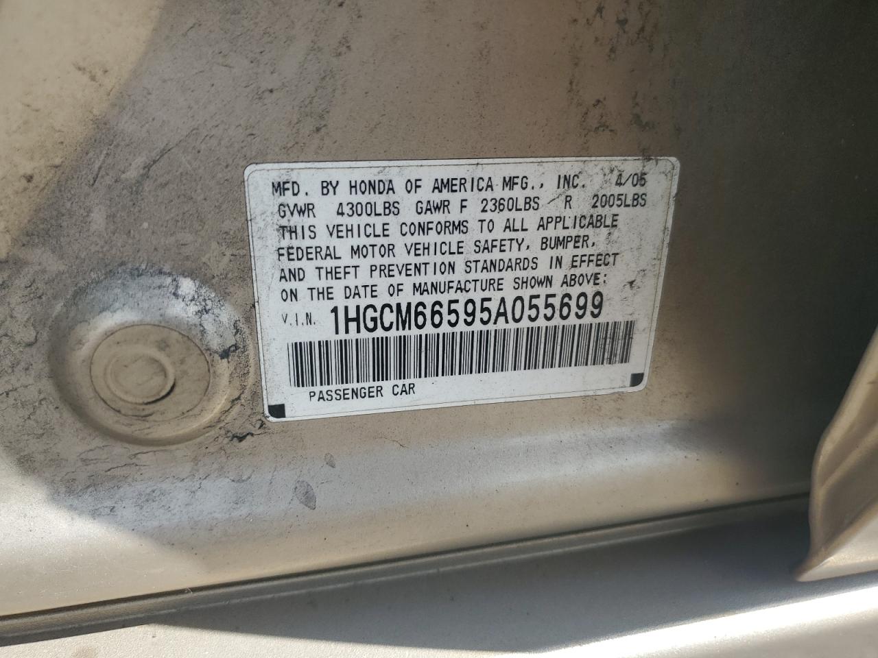 2005 Honda Accord Ex VIN: 1HGCM66595A055699 Lot: 64200845