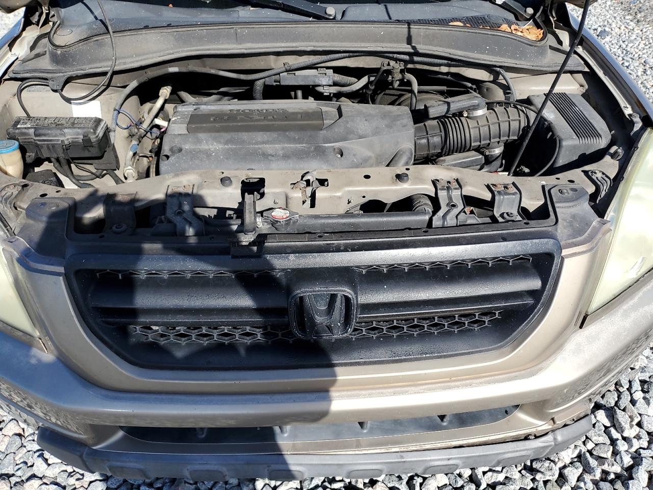 2003 Honda Pilot Exl VIN: 2HKYF18593H604144 Lot: 65175795