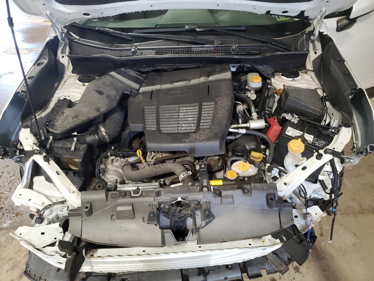 2019 Subaru Forester Premium VIN: JF2SKAEC2KH452551 Lot: 64962895