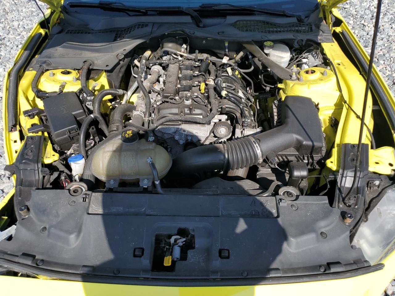 2021 Ford Mustang VIN: 1FATP8UH9M5103343 Lot: 64374405