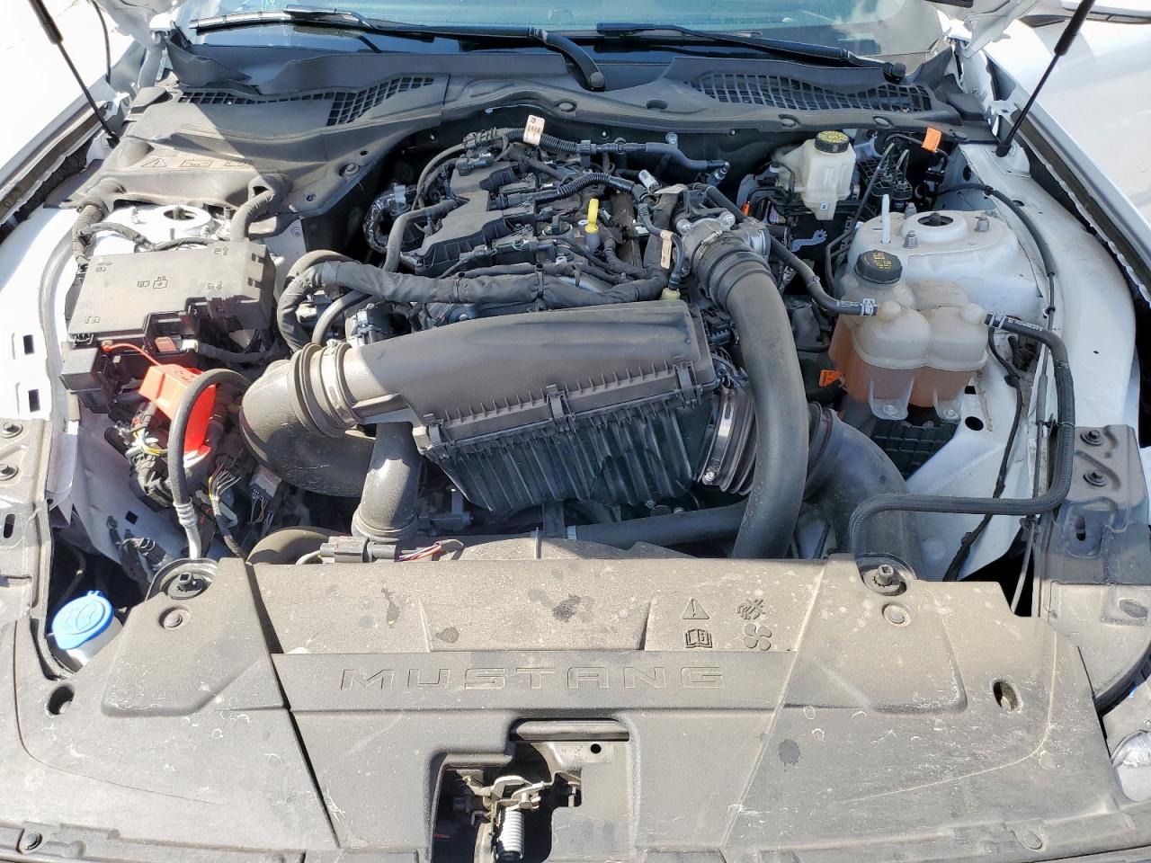 2024 Ford Mustang VIN: 1FA6P8TH6R5108991 Lot: 65046855