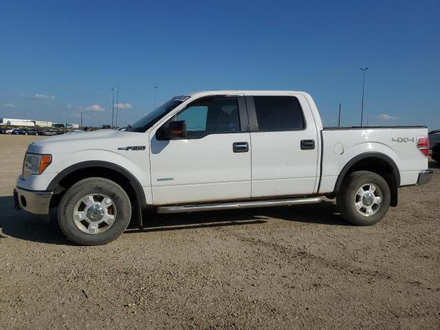 2014 FORD F150 SUPERCREW   for sale at Copart AB - EDMONTON