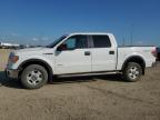 2014 FORD F150 SUPERCREW   for sale at Copart AB - EDMONTON
