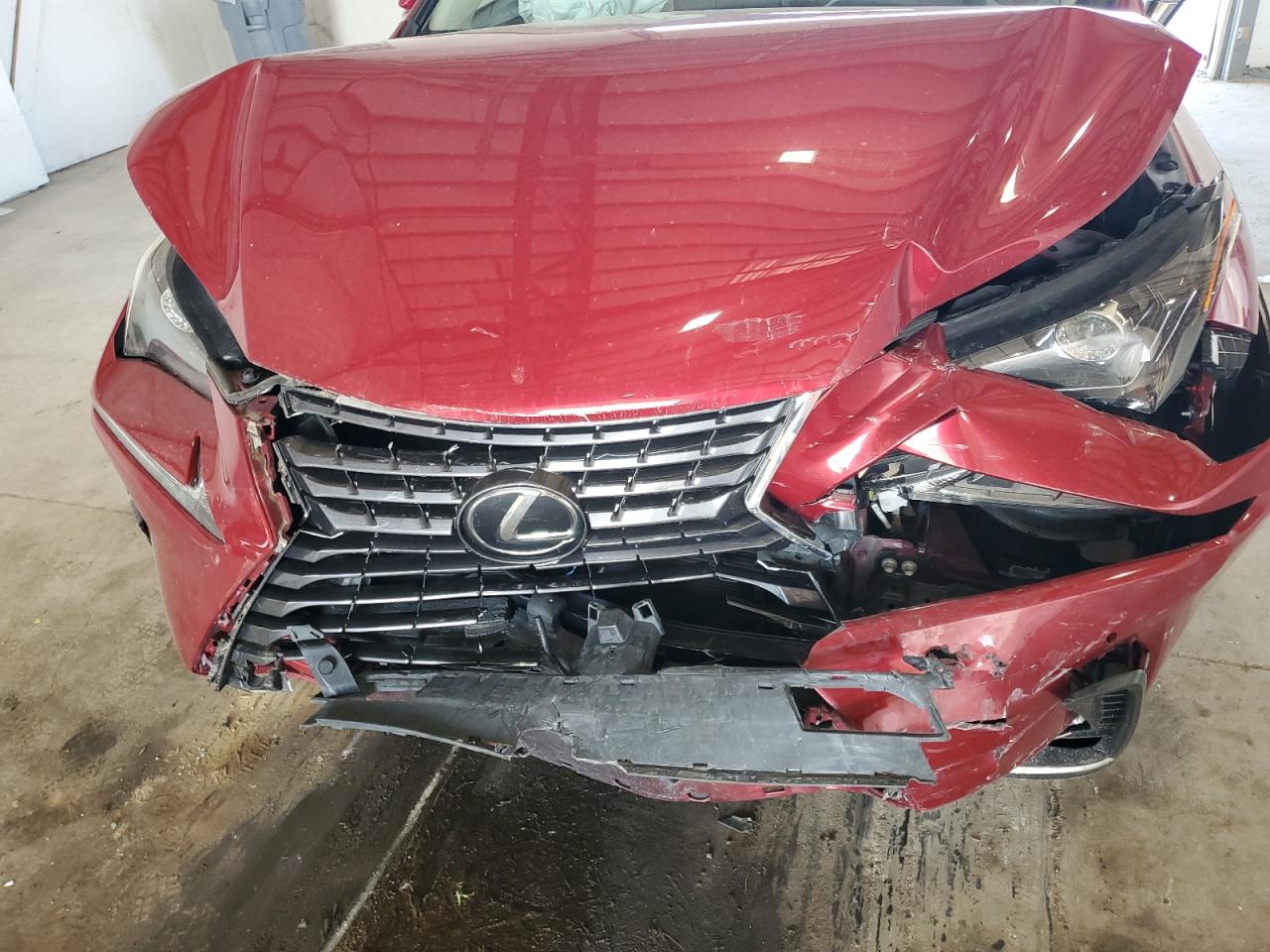 2020 Lexus Nx 300 VIN: JTJDARDZXL5008428 Lot: 64490475