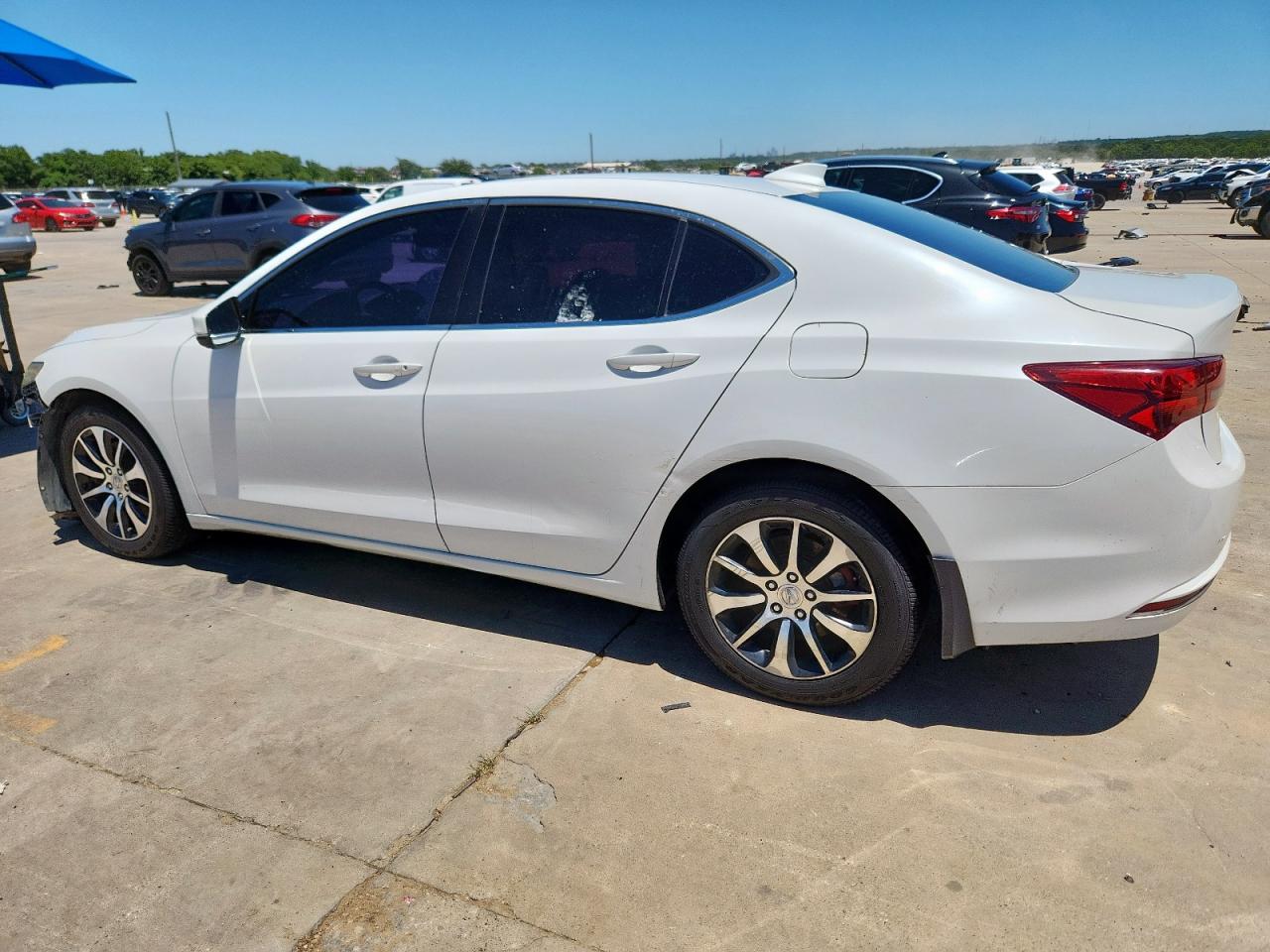 19uub1f5xfa014559 19UUB1F5XFA014559 2015 Acura Tlx Tech
