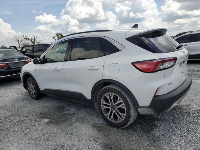  FORD ESCAPE 2020 Белы
