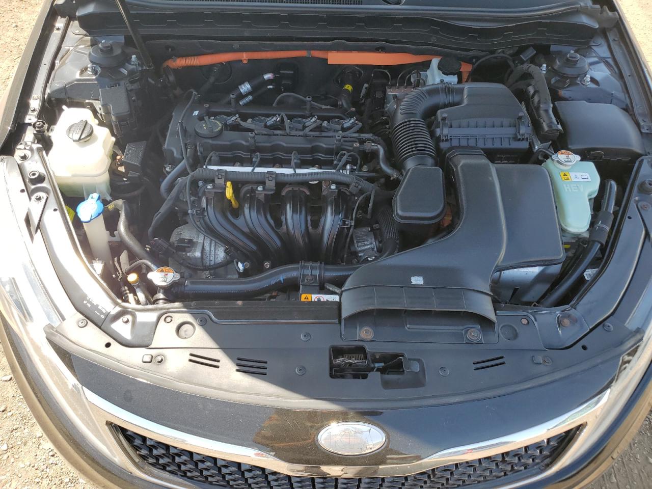 2013 Kia Optima Hybrid VIN: KNAGM4AD6D5059961 Lot: 65608465