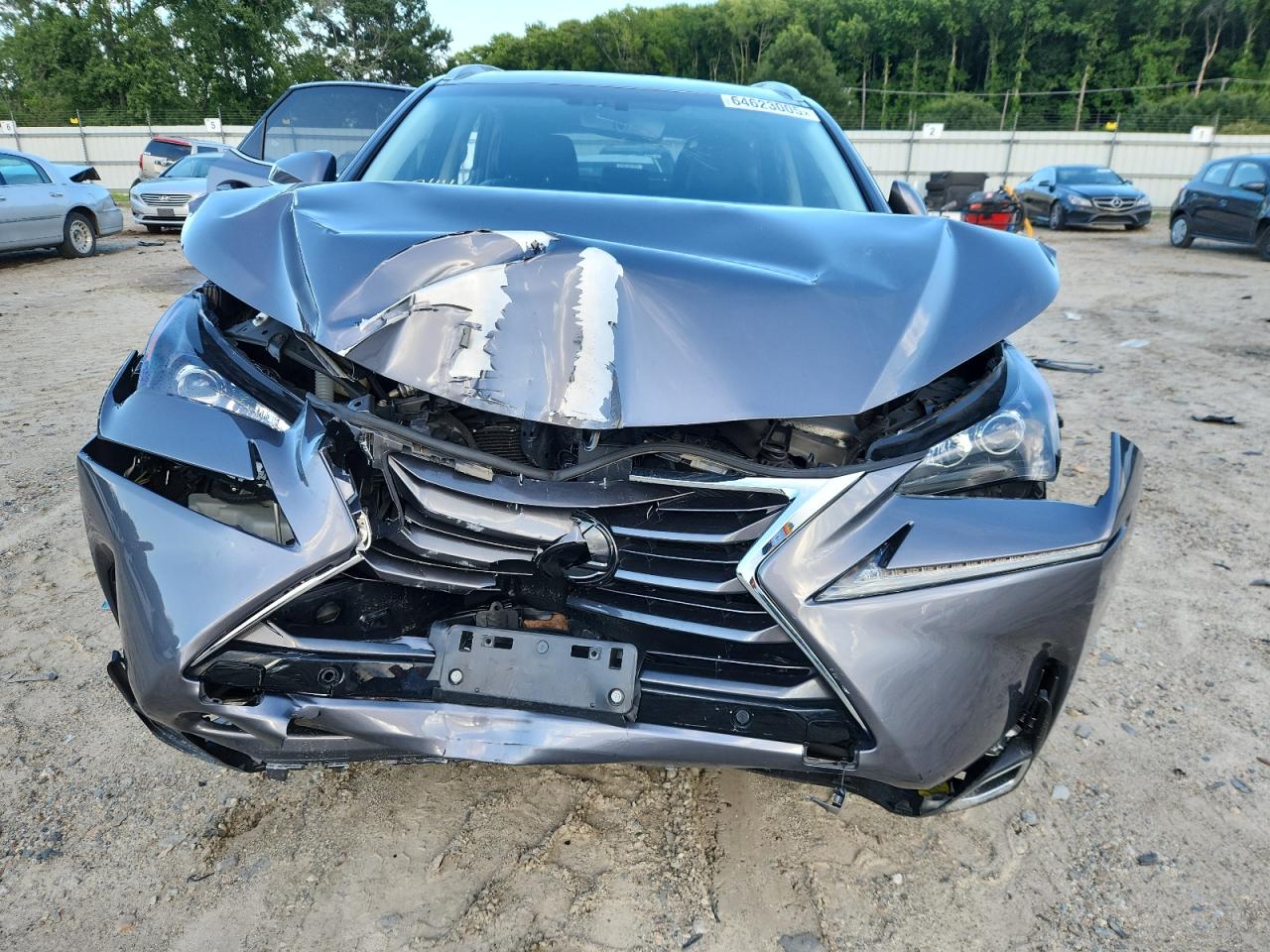 2016 Lexus Nx 300H VIN: JTJBJRBZ4G2035349 Lot: 64623005