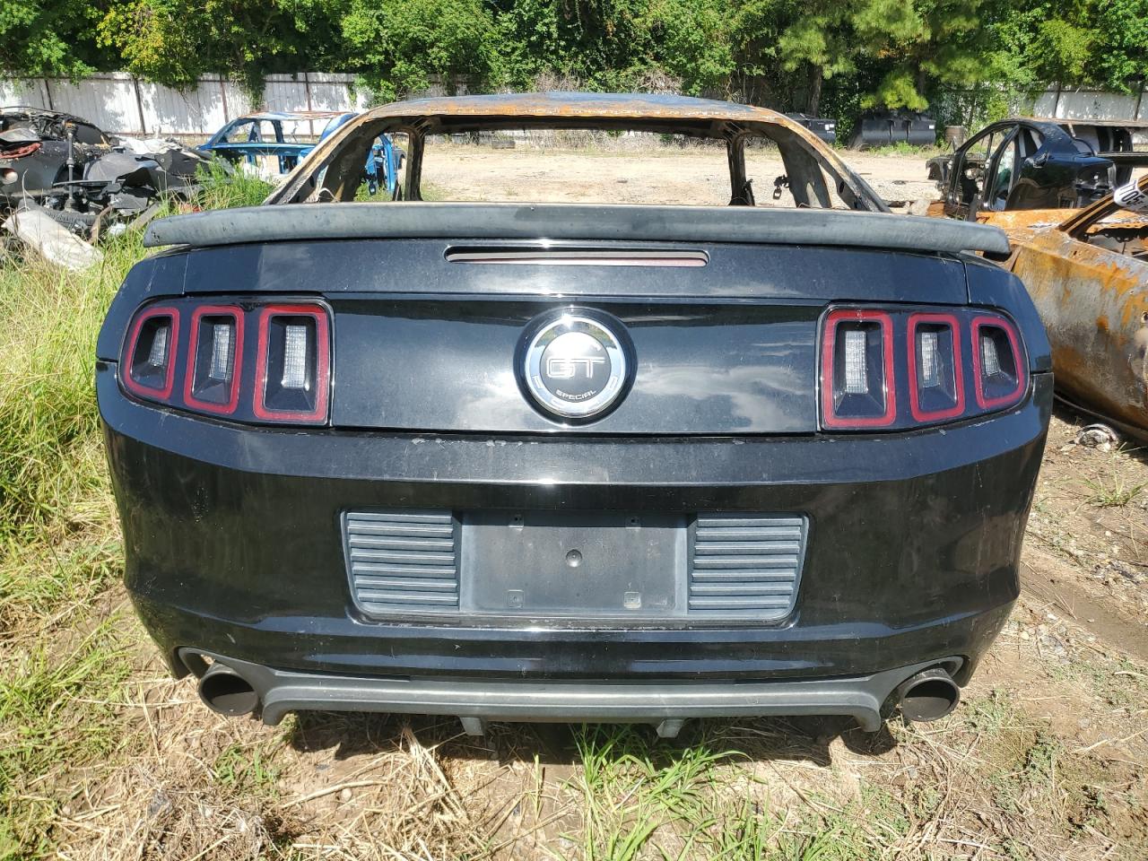 2014 Ford Mustang Gt VIN: 1ZVBP8CFXE5309369 Lot: 66193525