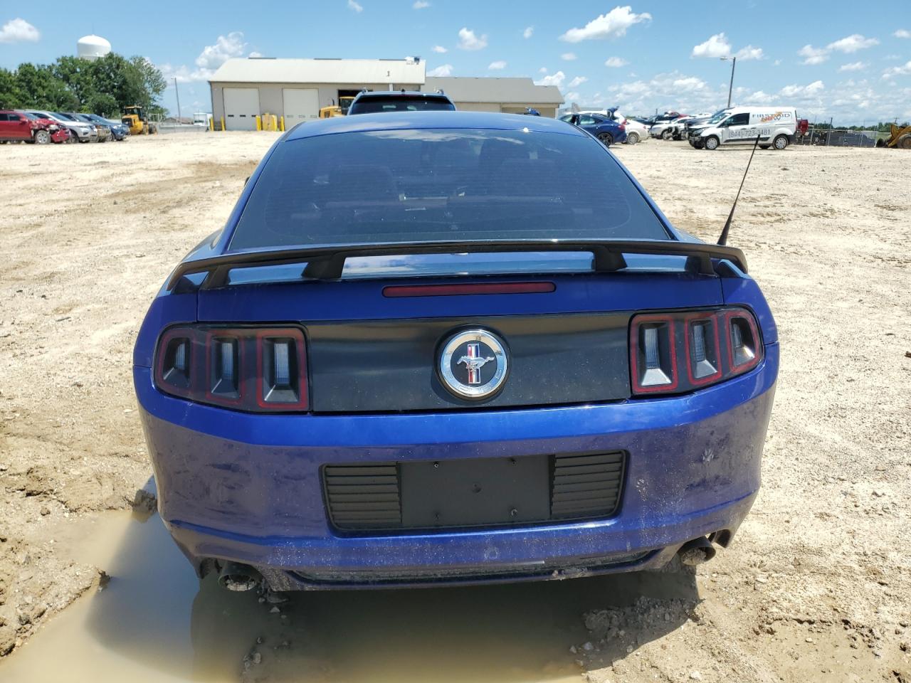 2013 Ford Mustang VIN: 1ZVBP8AM1D5256206 Lot: 63681315