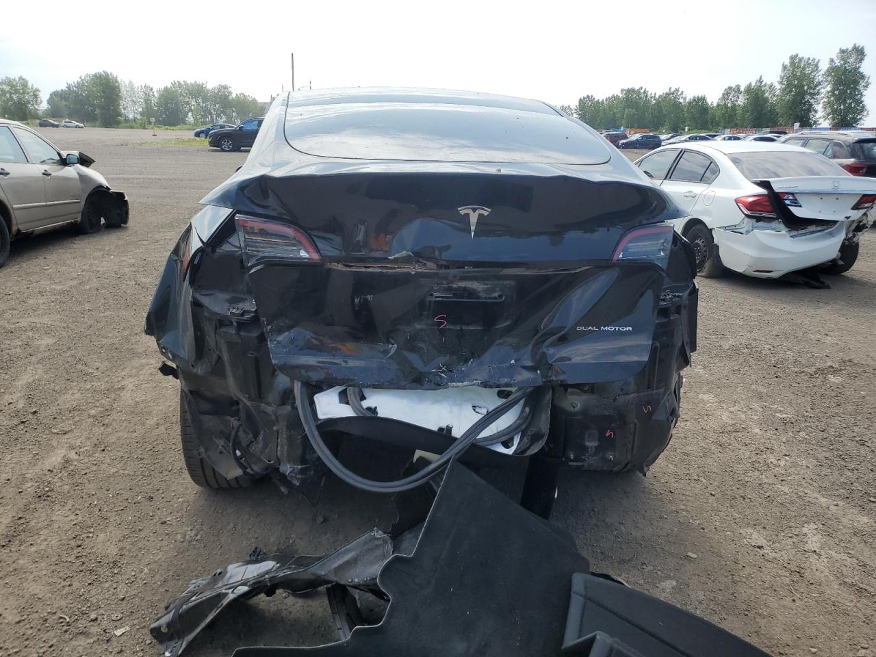 2024 Tesla Model Y VIN: 7SAYGDEE2RF012419 Lot: 64032055