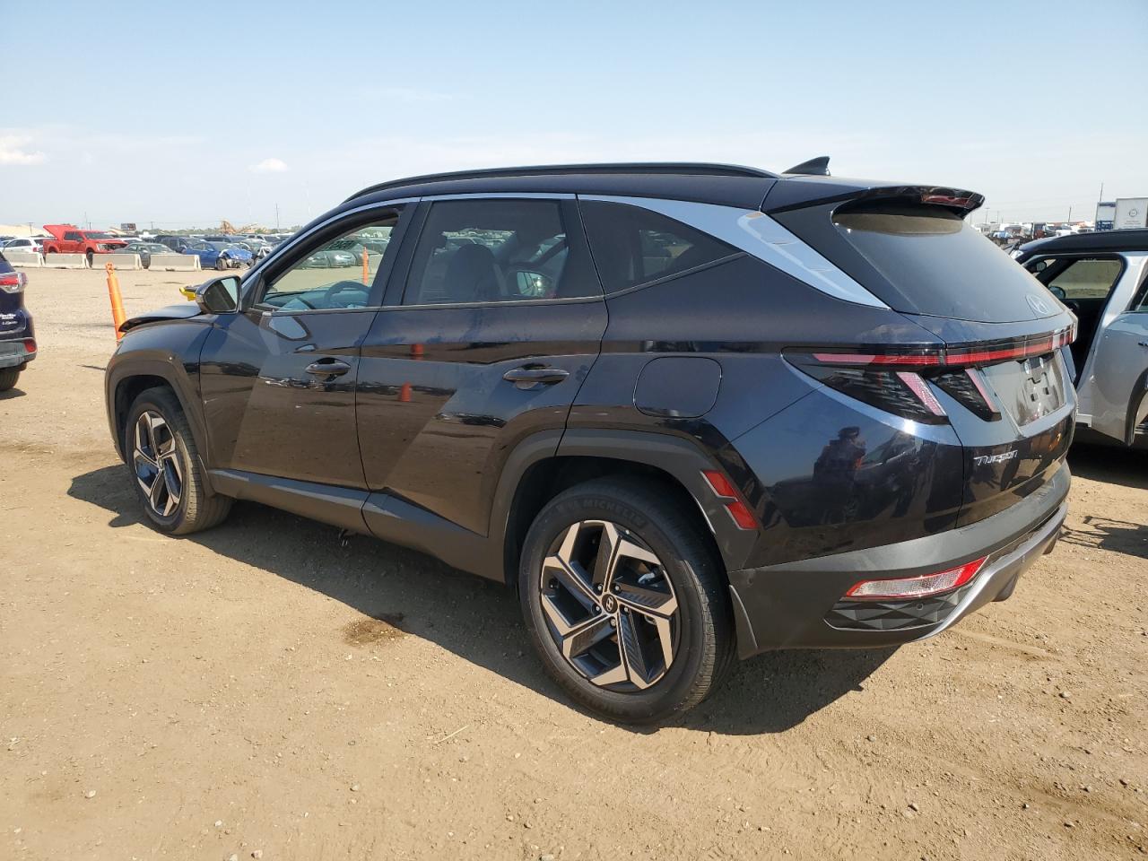 2024 Hyundai Tucson Limited VIN: KM8JFDD22RU193484 Lot: 65451175
