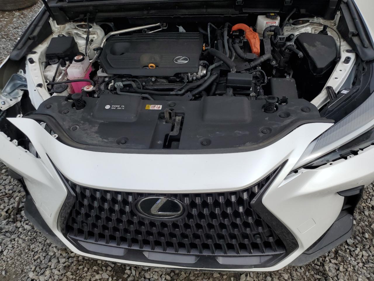 2022 Lexus Nx 350H VIN: 2T2GKCEZ1NC004648 Lot: 63384605