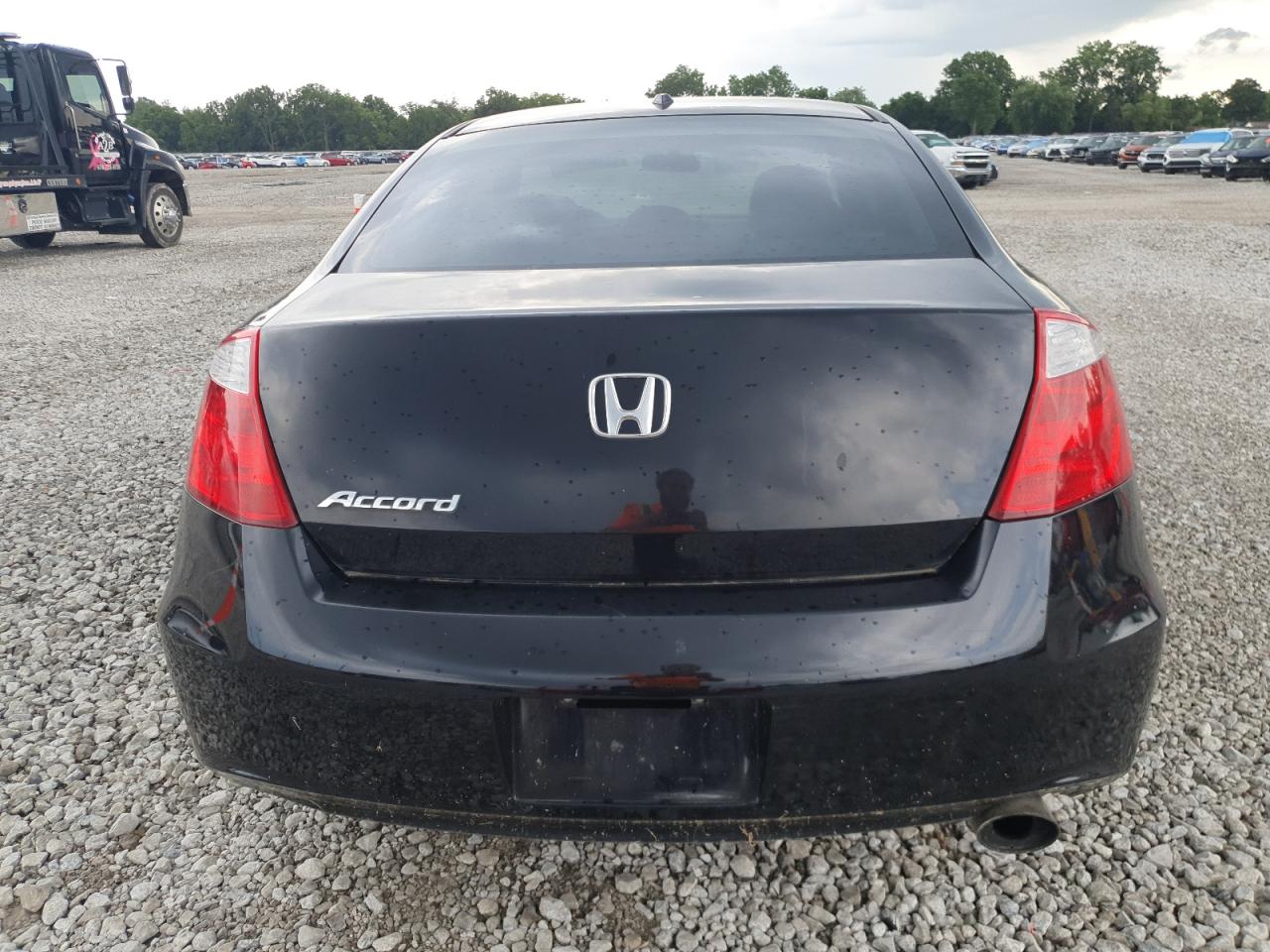 2010 Honda Accord Exl VIN: 1HGCS1B80AA007737 Lot: 65385955