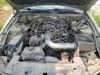 2006 FORD MUSTANG    for sale at Copart AB - CALGARY